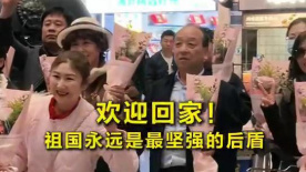 sese网站
